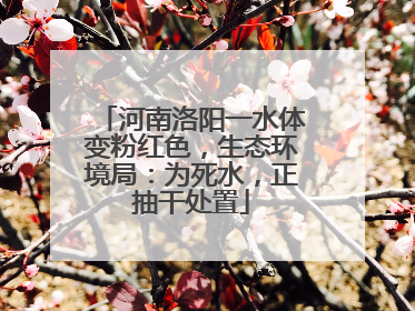 河南洛阳一水体变粉红色，生态环境局：为死水，正抽干处置