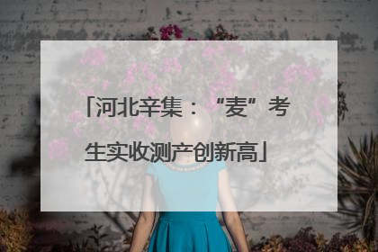 河北辛集：“麦”考生实收测产创新高