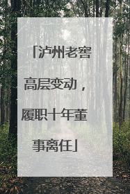 泸州老窖高层变动，履职十年董事离任