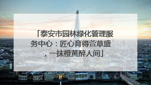 泰安市园林绿化管理服务中心：匠心育得萱草盛，一抹橙黄醉人间