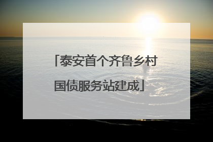 泰安首个齐鲁乡村国债服务站建成