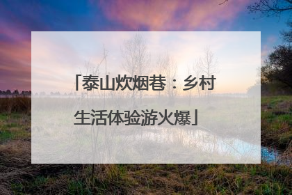 泰山炊烟巷：乡村生活体验游火爆