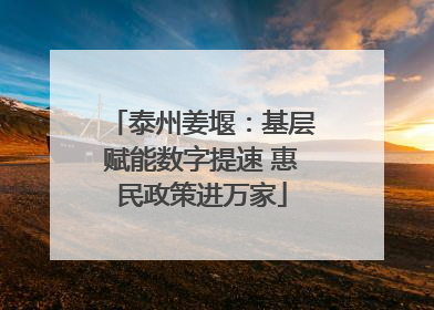 泰州姜堰：基层赋能数字提速 惠民政策进万家