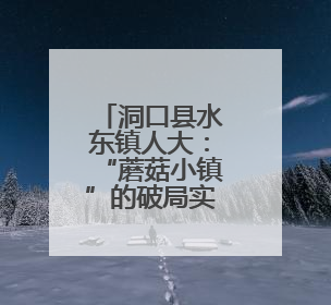 洞口县水东镇人大：“蘑菇小镇”的破局实践