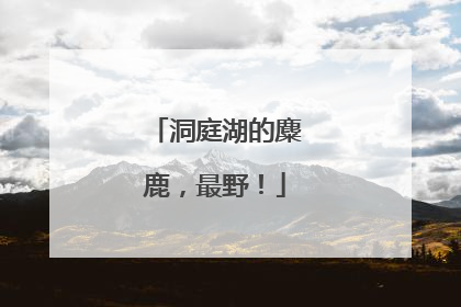 洞庭湖的麋鹿，最野！