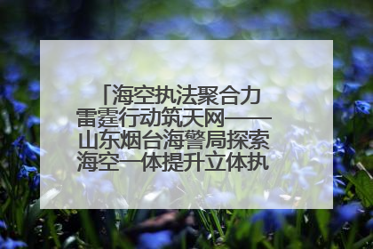 海空执法聚合力 雷霆行动筑天网——山东烟台海警局探索海空一体提升立体执法效能纪实