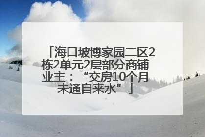 海口坡博家园二区2栋2单元2层部分商铺业主：“交房10个月未通自来水”