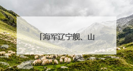海军辽宁舰、山东舰航母编队完成实战化训练任务