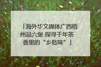 海外华文媒体广西梧州品六堡 探寻千年茶香里的“乡愁味”