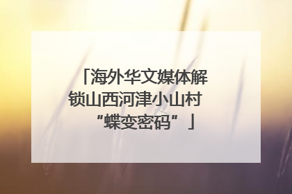 海外华文媒体解锁山西河津小山村“蝶变密码”