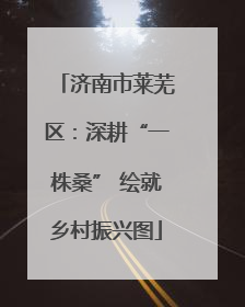 济南市莱芜区：深耕“一株桑” 绘就乡村振兴图