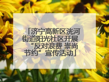 济宁高新区洸河街道阳光社区开展“反对浪费 崇尚节约”宣传活动