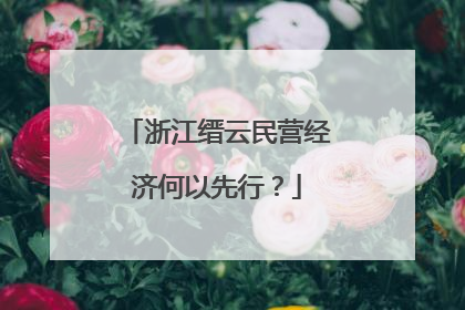 浙江缙云民营经济何以先行？