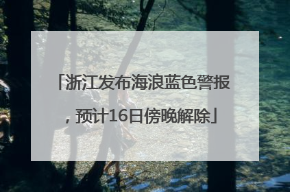 浙江发布海浪蓝色警报，预计16日傍晚解除