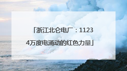 浙江北仑电厂：11234万度电涌动的红色力量