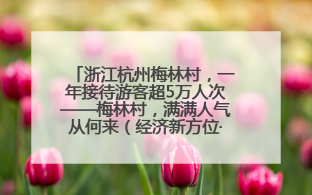 浙江杭州梅林村，一年接待游客超5万人次——梅林村，满满人气从何来（经济新方位·农村消费观察）