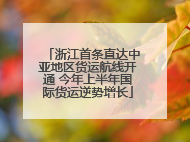浙江首条直达中亚地区货运航线开通 今年上半年国际货运逆势增长
