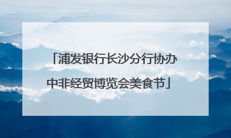 浦发银行长沙分行协办中非经贸博览会美食节