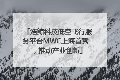 浩鲸科技低空飞行服务平台MWC上海首秀，推动产业创新