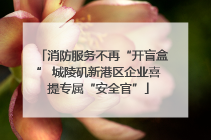 消防服务不再“开盲盒” 城陵矶新港区企业喜提专属“安全官”