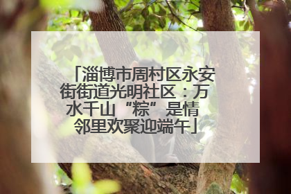 淄博市周村区永安街街道光明社区：万水千山“粽”是情 邻里欢聚迎端午