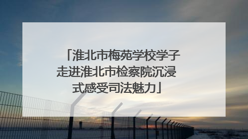 淮北市梅苑学校学子走进淮北市检察院沉浸式感受司法魅力