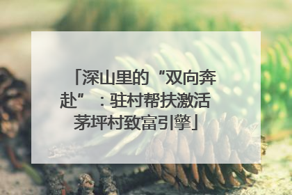 深山里的“双向奔赴”：驻村帮扶激活茅坪村致富引擎
