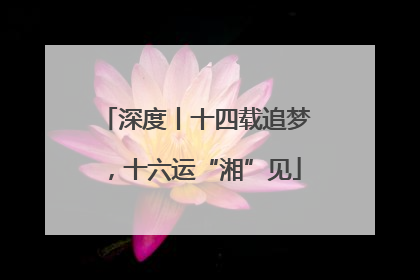 深度丨十四载追梦，十六运“湘”见