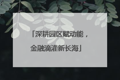 深耕园区赋动能，金融滴灌新长海