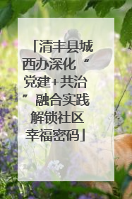清丰县城西办深化“党建+共治”融合实践 解锁社区幸福密码