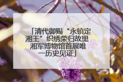 清代御赐“永镇定湘王”织绣荣归故里 湘军博物馆首展唯一历史见证