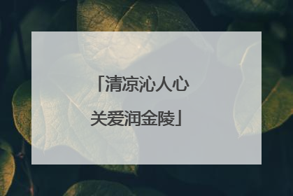 清凉沁人心 关爱润金陵