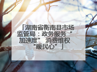 湖南省衡南县市场监管局：政务服务“加速度” 消费维权“暖民心”