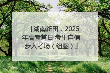 湖南新田：2025年高考首日 考生自信步入考场（组图）