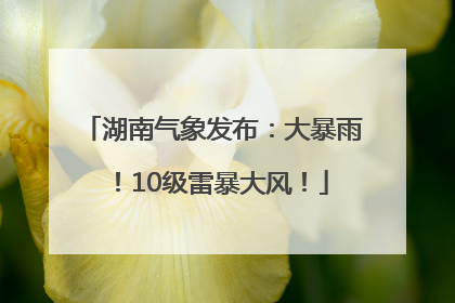湖南气象发布：大暴雨！10级雷暴大风！