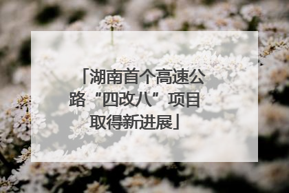 湖南首个高速公路“四改八”项目取得新进展