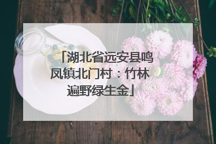 湖北省远安县鸣凤镇北门村：竹林遍野绿生金