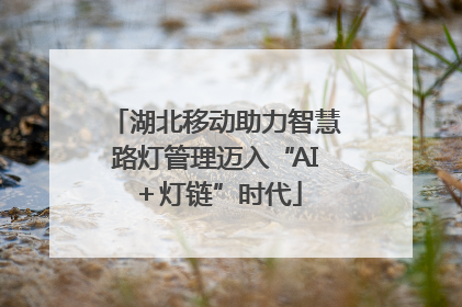 湖北移动助力智慧路灯管理迈入“AI＋灯链”时代