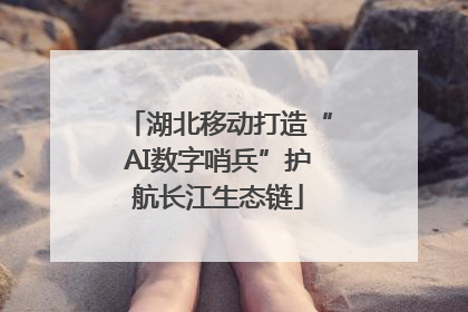 湖北移动打造“AI数字哨兵”护航长江生态链