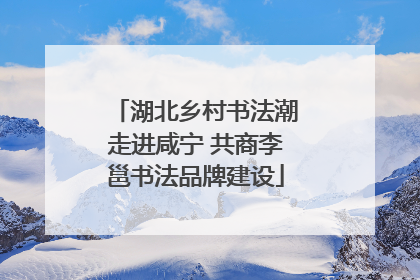 湖北乡村书法潮走进咸宁 共商李邕书法品牌建设
