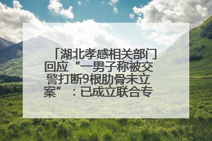 湖北孝感相关部门回应“一男子称被交警打断9根肋骨未立案”：已成立联合专班开展工作