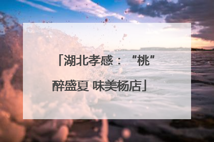 湖北孝感：“桃”醉盛夏 味美杨店