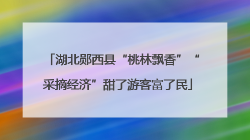 湖北郧西县“桃林飘香”“采摘经济”甜了游客富了民