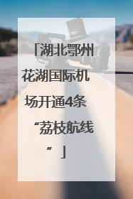湖北鄂州花湖国际机场开通4条“荔枝航线”