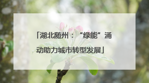 湖北随州：“绿能”涌动助力城市转型发展