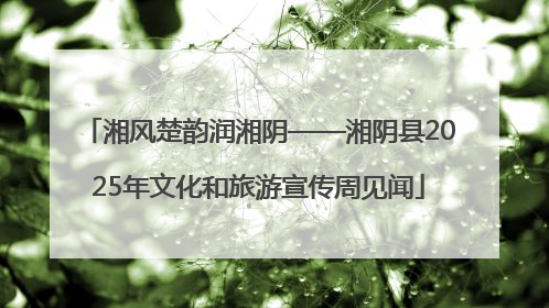 湘风楚韵润湘阴——湘阴县2025年文化和旅游宣传周见闻
