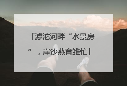 滹沱河畔“水景房”，崖沙燕育雏忙