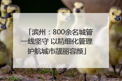 滨州：800余名城管一线坚守 以精细化管理护航城市靓丽容颜