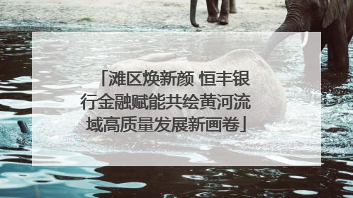 滩区焕新颜 恒丰银行金融赋能共绘黄河流域高质量发展新画卷