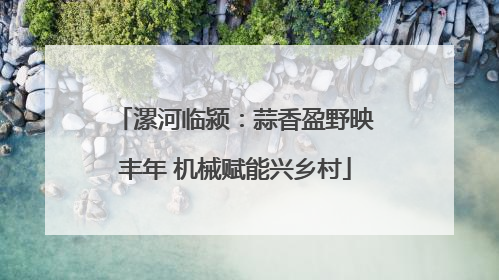 漯河临颍：蒜香盈野映丰年 机械赋能兴乡村